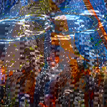 Enoy_Brite_Winter (1).jpg